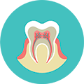 Endodontie et Micro-dentisterie